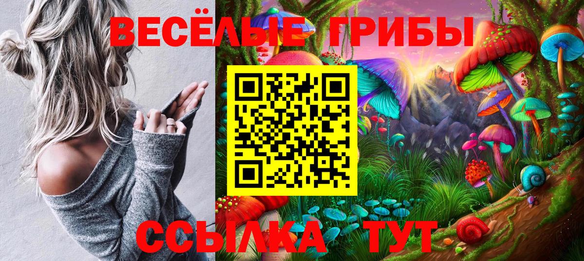 Галлюциногенные грибы GOLDEN TEACHER Кохма